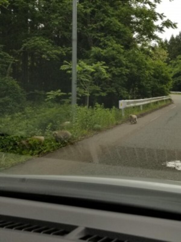 宮城県石巻市へ陸送。納車完了しました。サムネイル