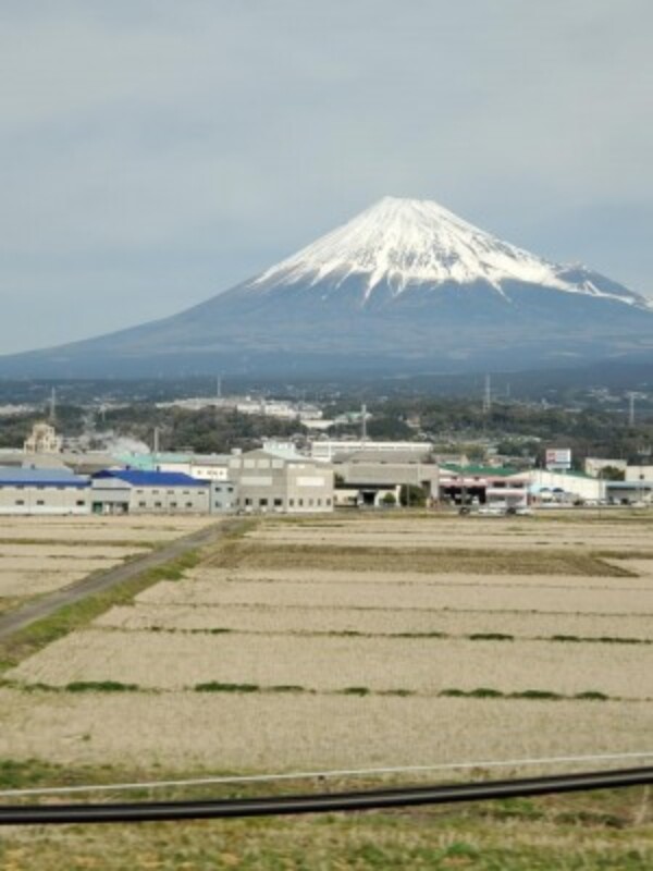 大阪から横浜へ陸送サムネイル